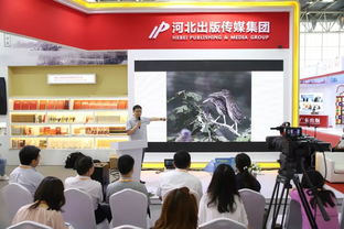 河北出版?zhèn)髅郊瘓F 北京圖博會上的文化亮眼風(fēng)景線